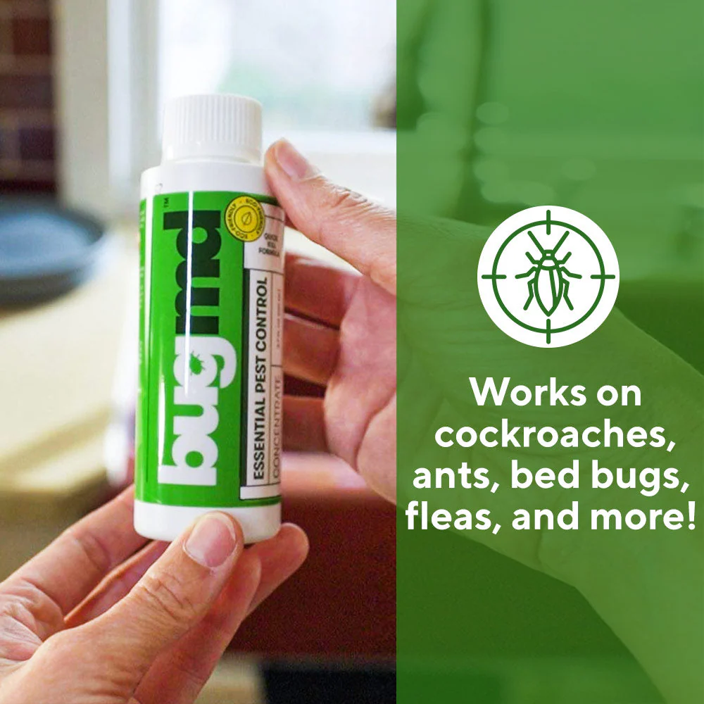 Essential Pest Concentrate – Powered by Clove Oil & Cottonseed Oil - Image 5